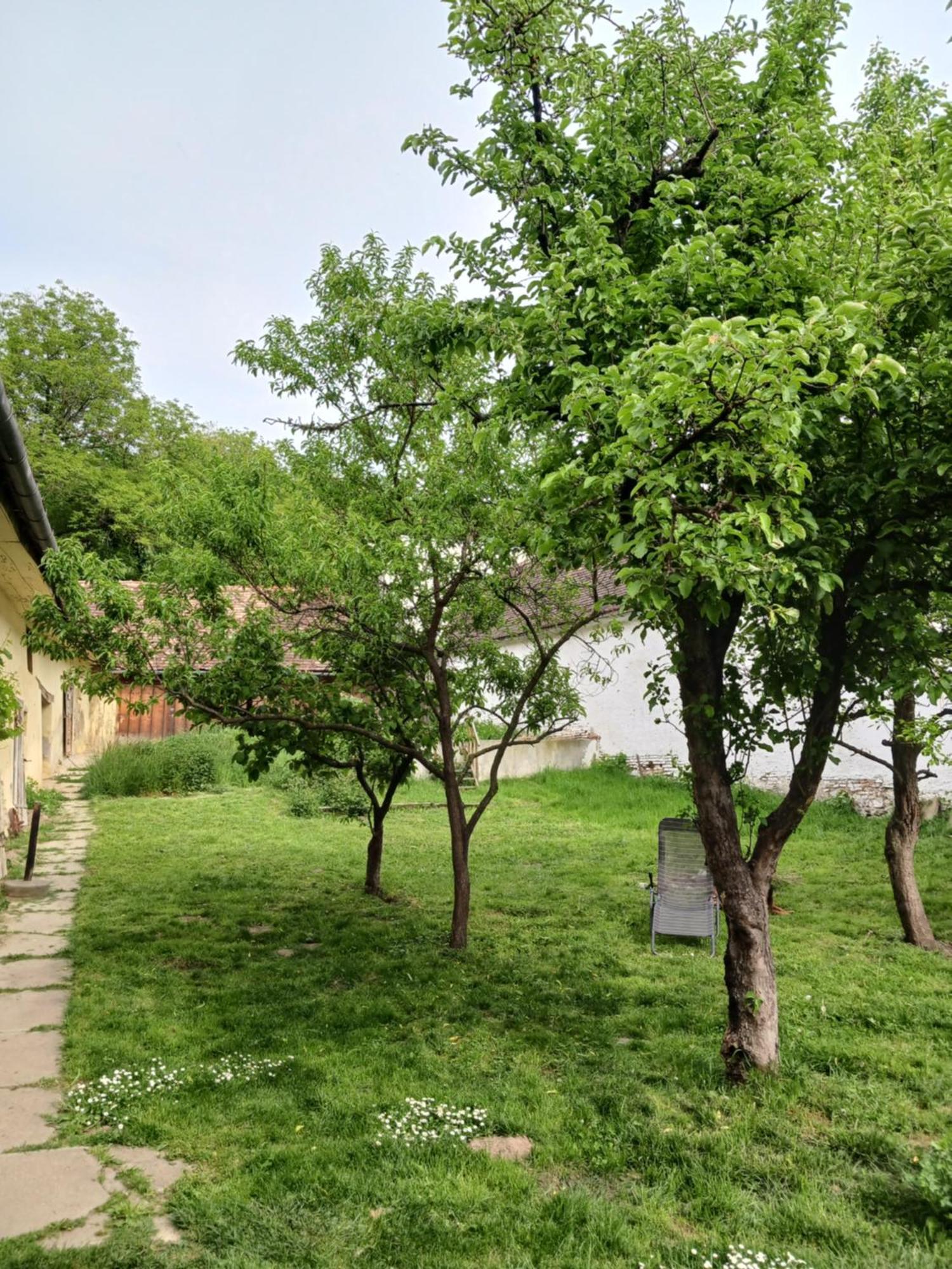 Casa Arthur Richis Richisu Exterior photo